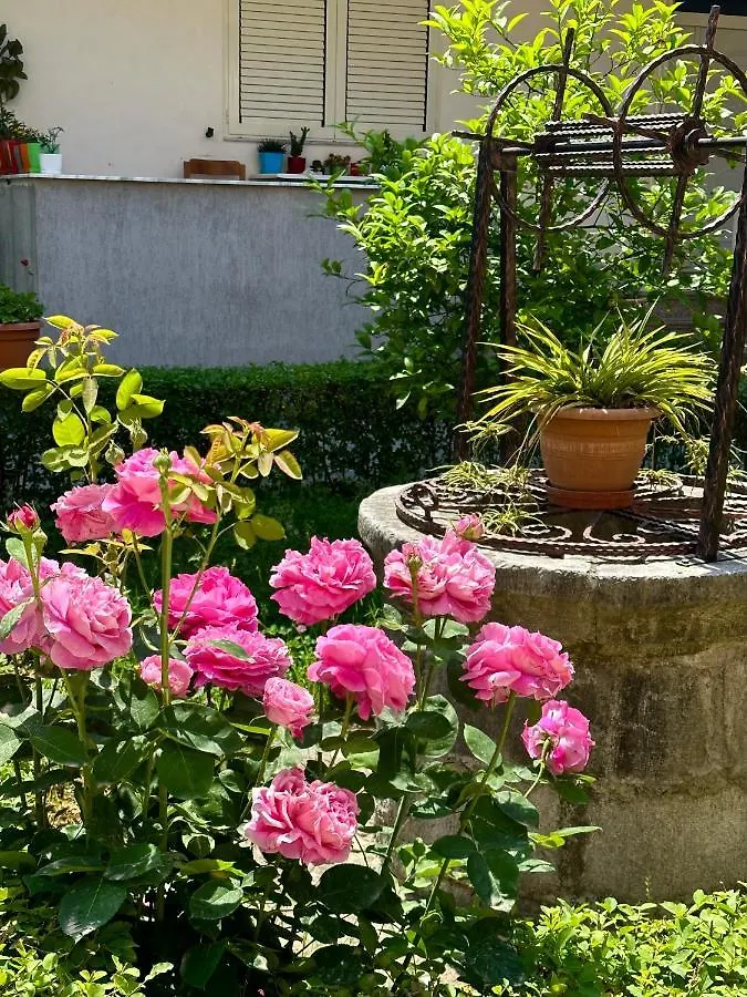 公寓 Js House Shkoder 1公寓